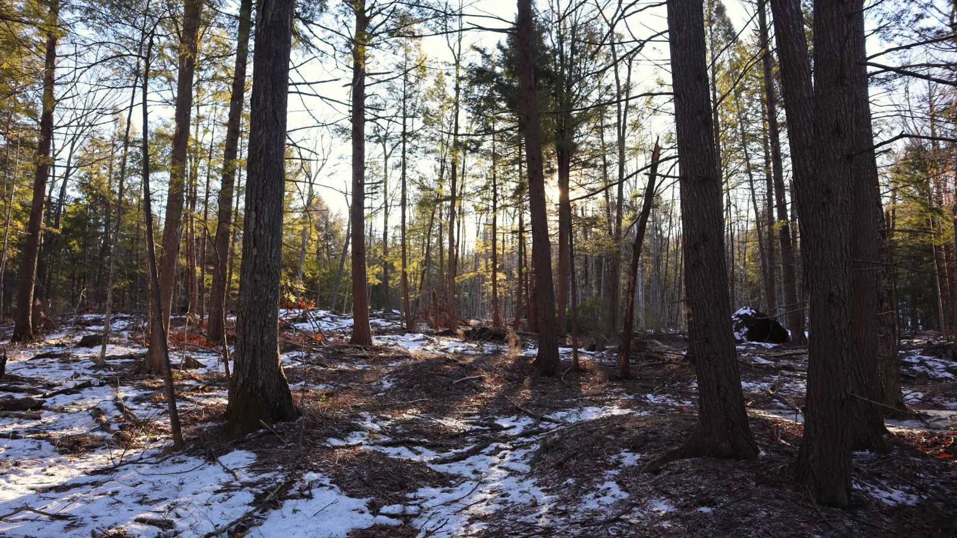 Property at 0 Parker Rd Rear, Hadley, NY 12822 2