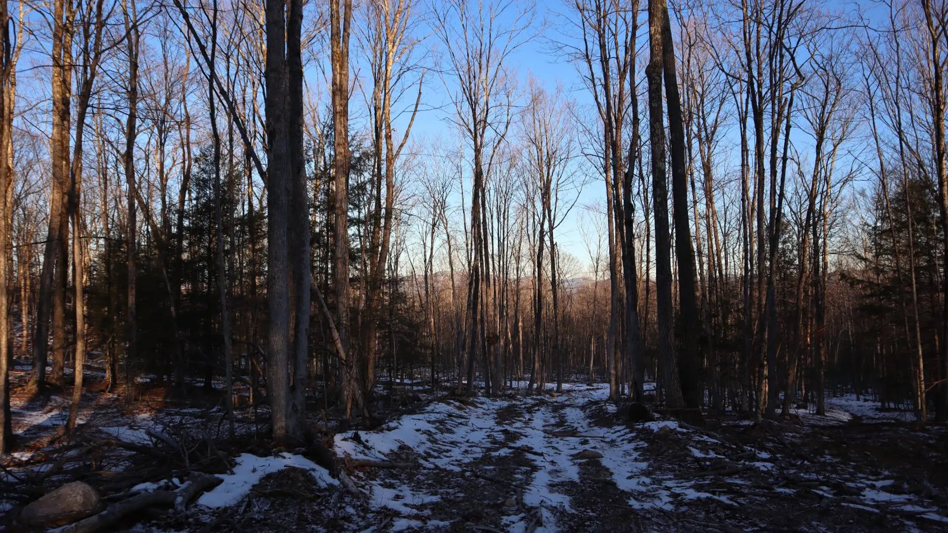 Property at 0 Parker Rd Rear, Hadley, NY 12822 21