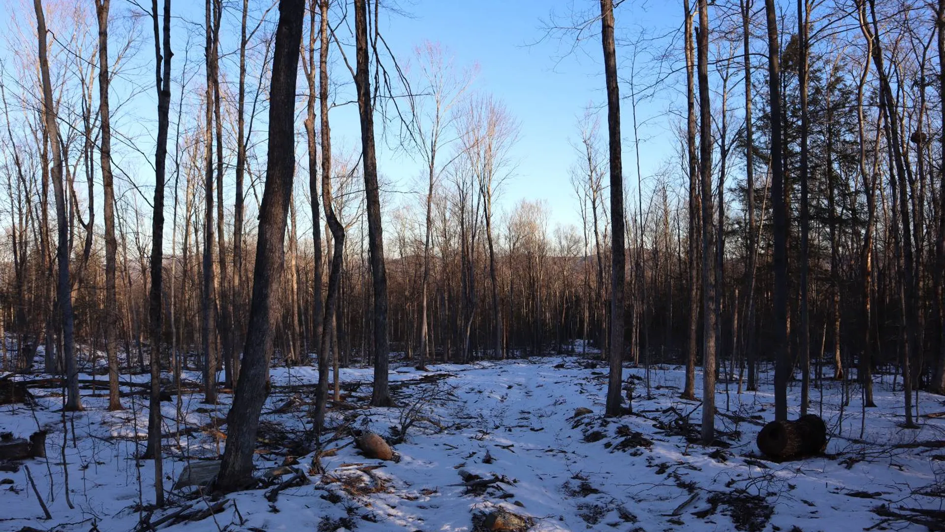 Property at 0 Parker Rd Rear, Hadley, NY 12822 23