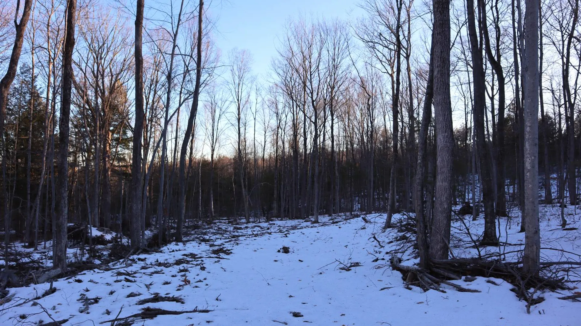 Property at 0 Parker Rd Rear, Hadley, NY 12822 24