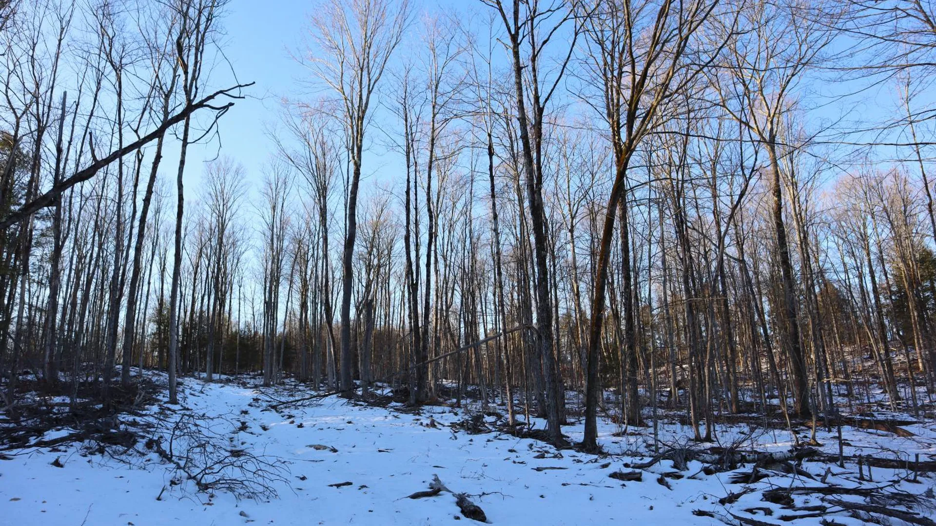 Property at 0 Parker Rd Rear, Hadley, NY 12822 25