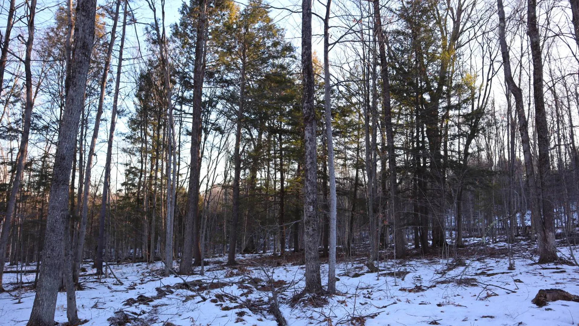 Property at 0 Parker Rd Rear, Hadley, NY 12822 26