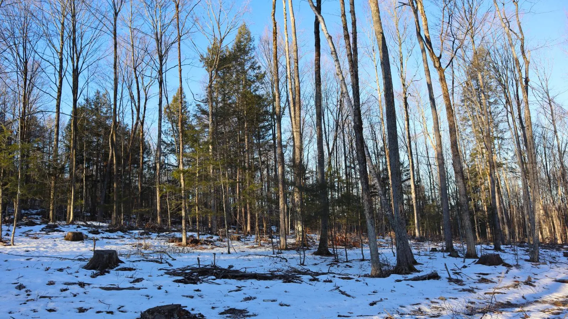 Property at 0 Parker Rd Rear, Hadley, NY 12822 27