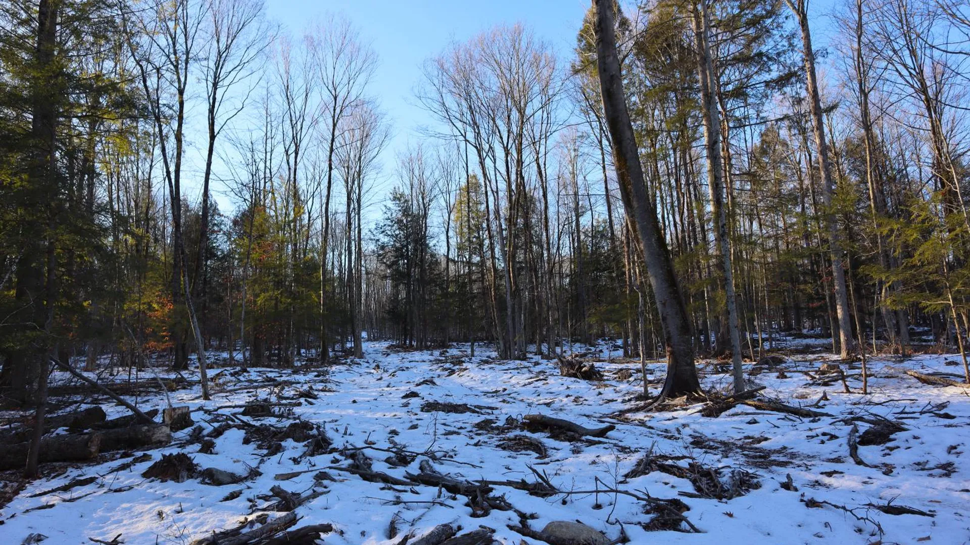 Property at 0 Parker Rd Rear, Hadley, NY 12822 28