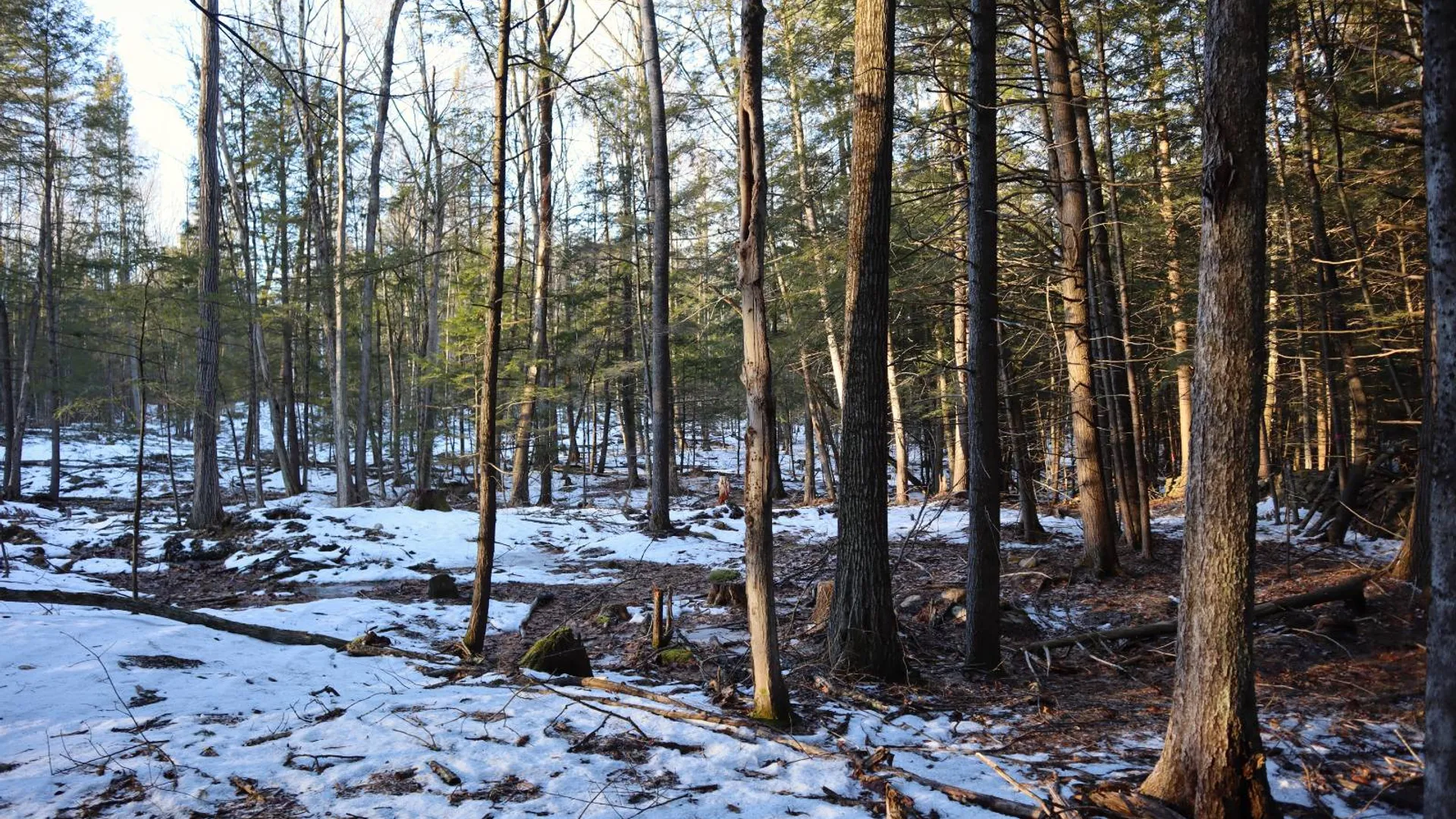 Property at 0 Parker Rd Rear, Hadley, NY 12822 36