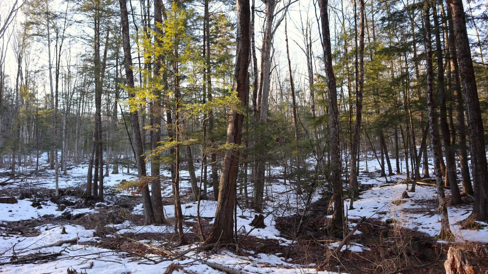 Property at 0 Parker Rd Rear, Hadley, NY 12822 37