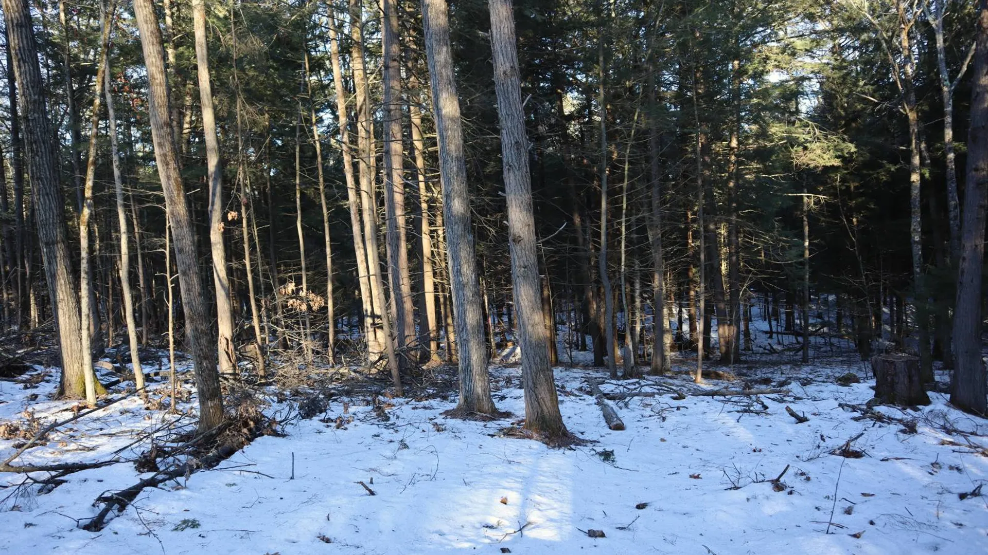 Property at 0 Parker Rd Rear, Hadley, NY 12822 39