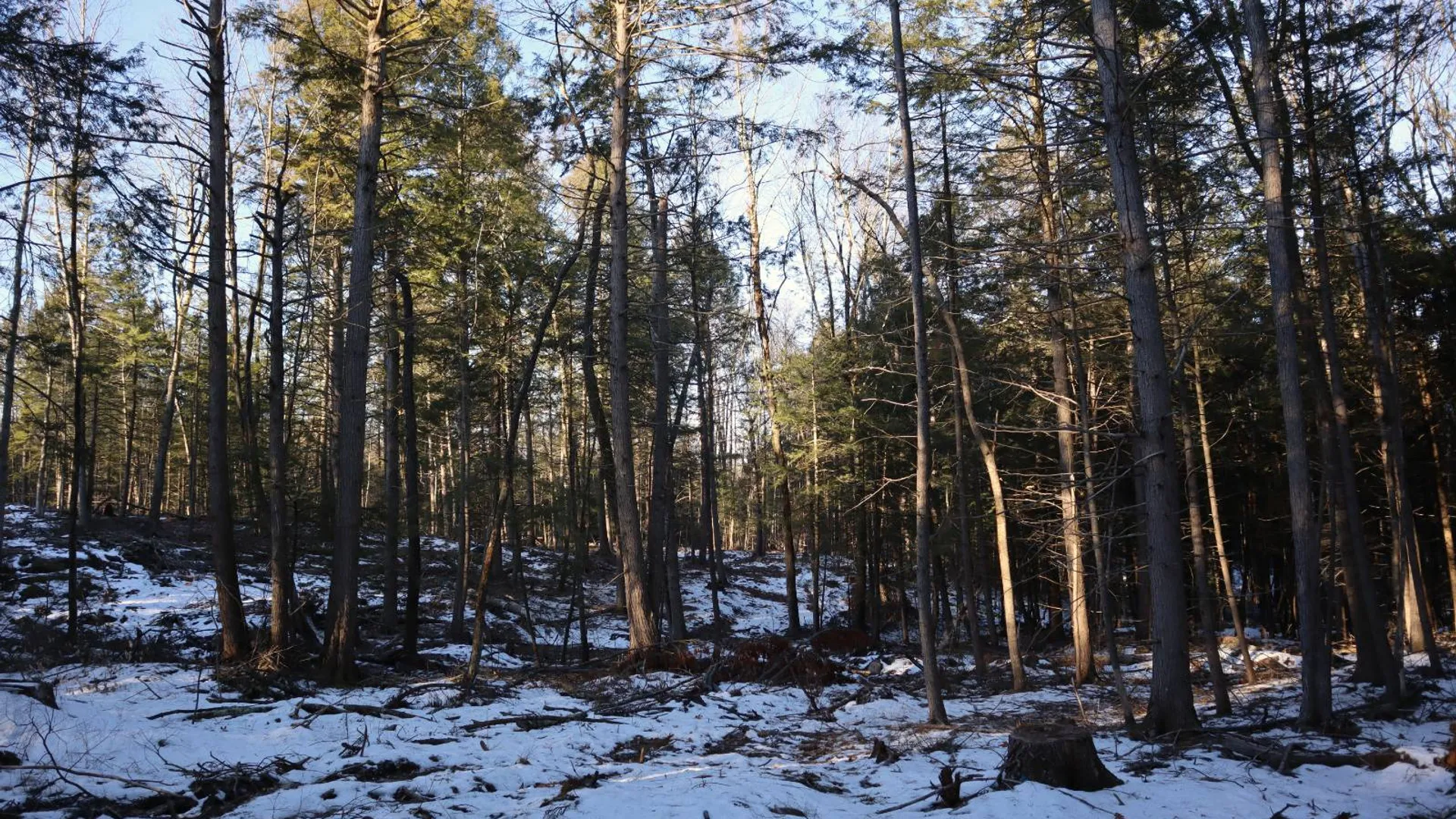 Property at 0 Parker Rd Rear, Hadley, NY 12822 40