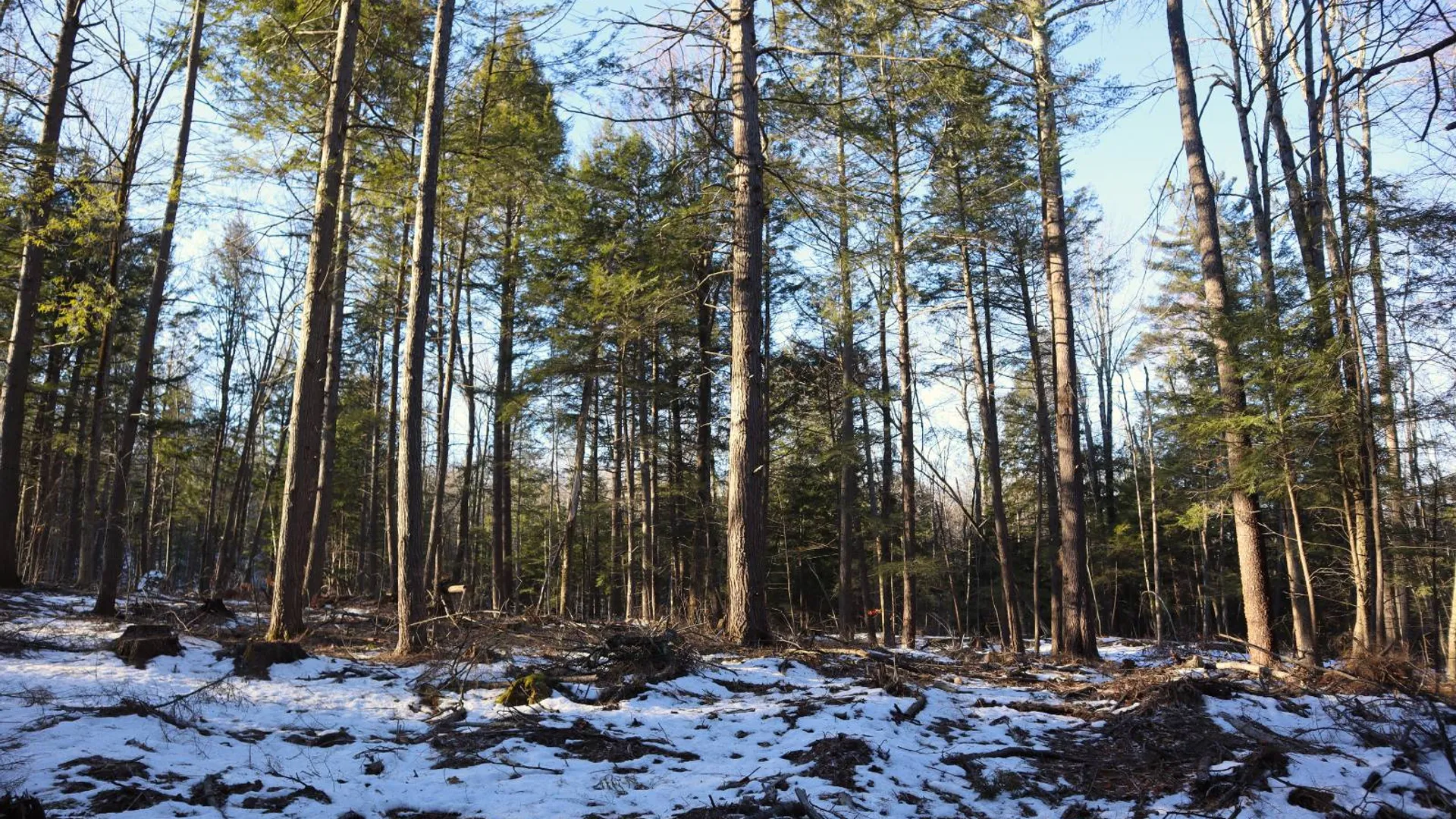 Property at 0 Parker Rd Rear, Hadley, NY 12822 43