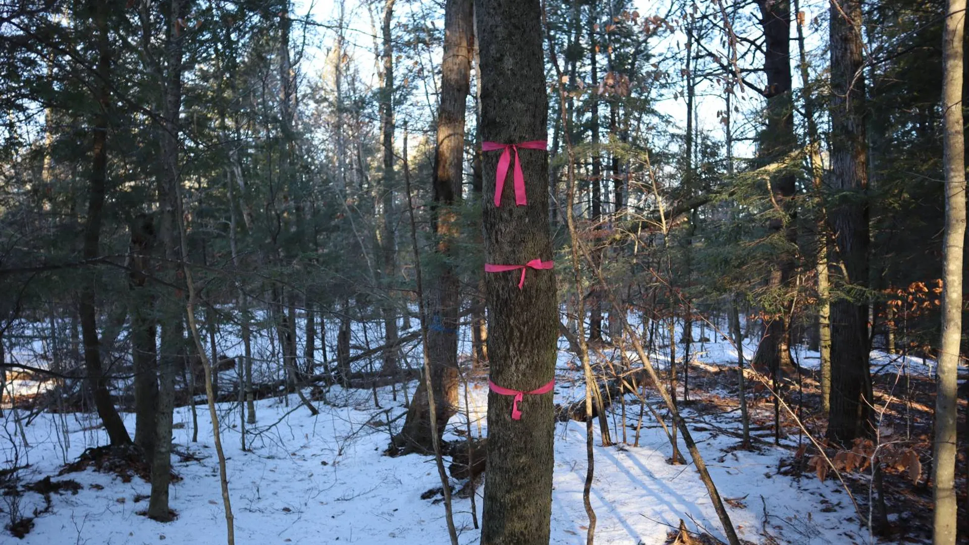 Property at 0 Parker Rd Rear, Hadley, NY 12822 44