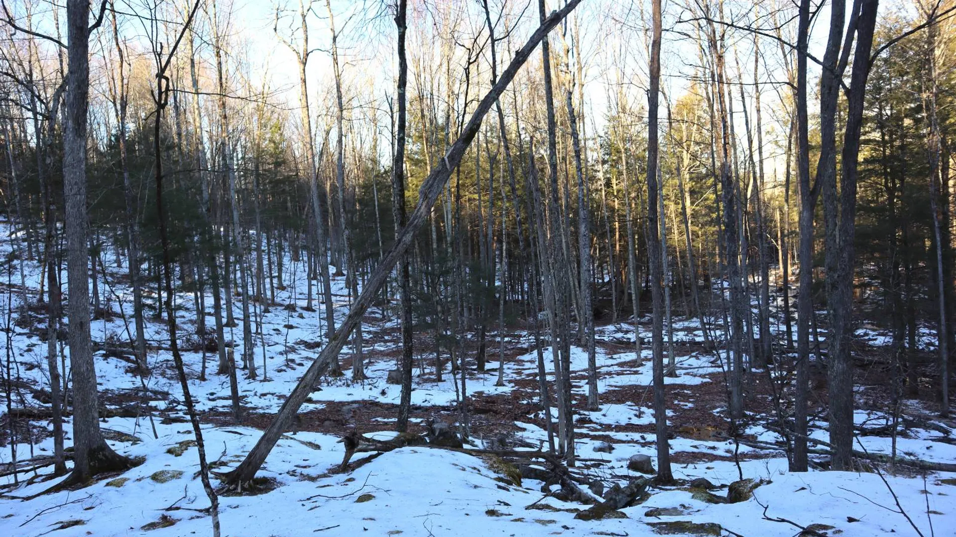Property at 0 Parker Rd Rear, Hadley, NY 12822 46