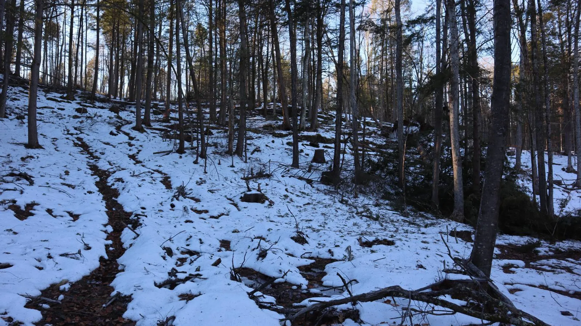 Property at 0 Parker Rd Rear, Hadley, NY 12822 47