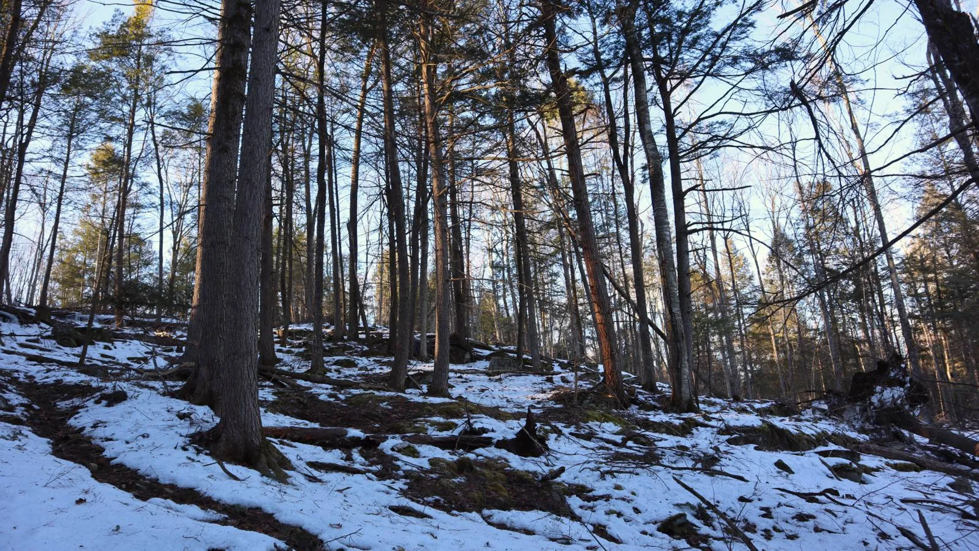 Property at 0 Parker Rd Rear, Hadley, NY 12822 48