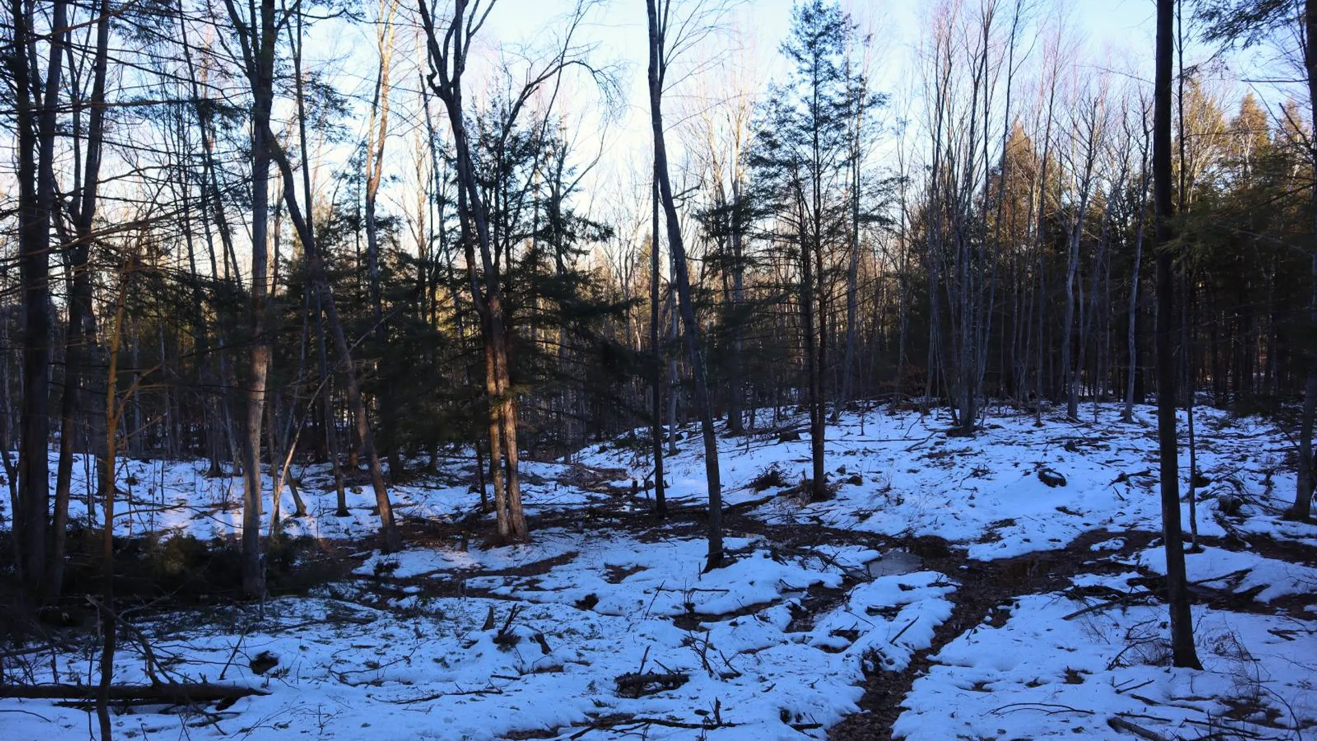 Property at 0 Parker Rd Rear, Hadley, NY 12822 49