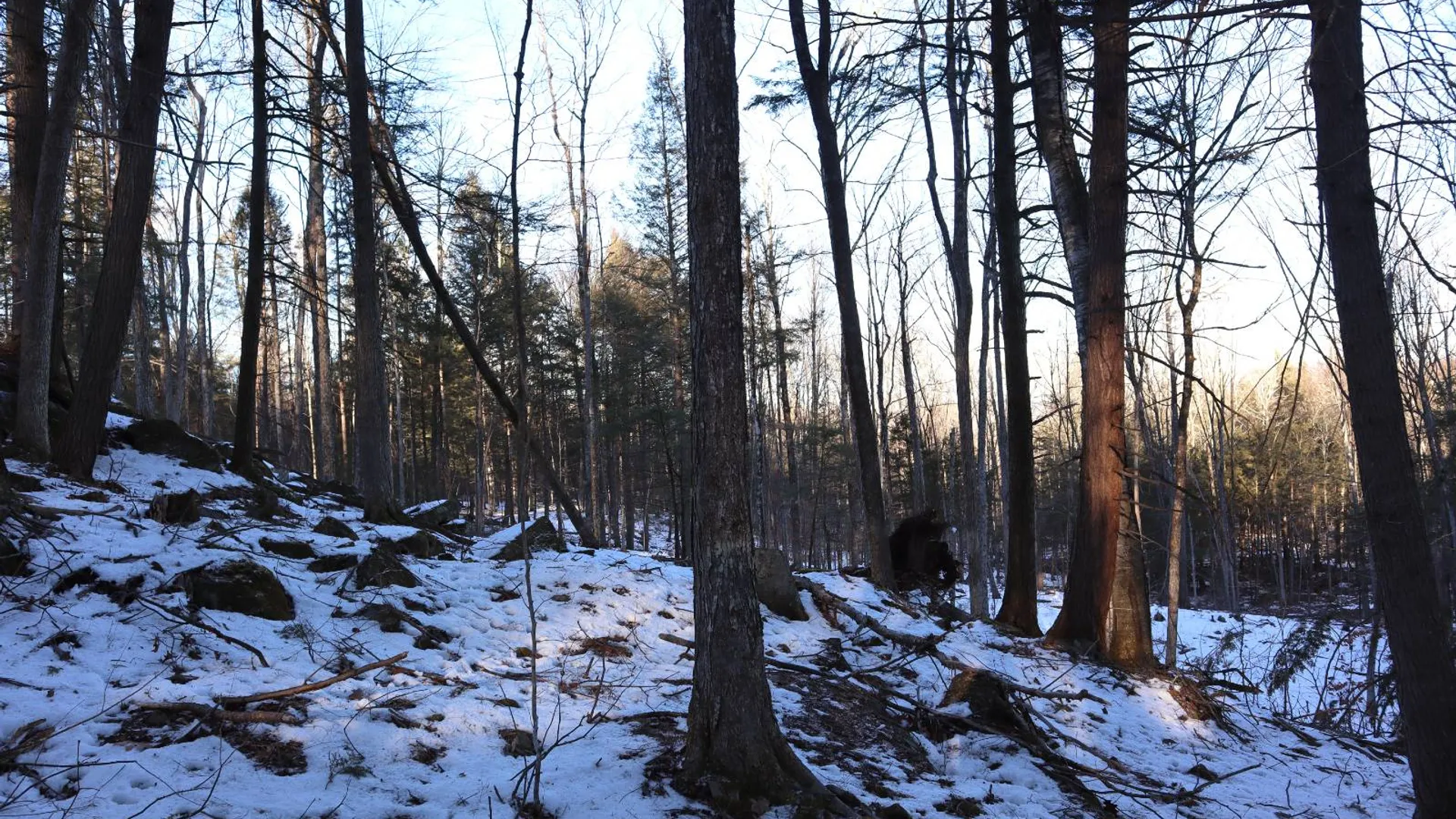 Property at 0 Parker Rd Rear, Hadley, NY 12822 50