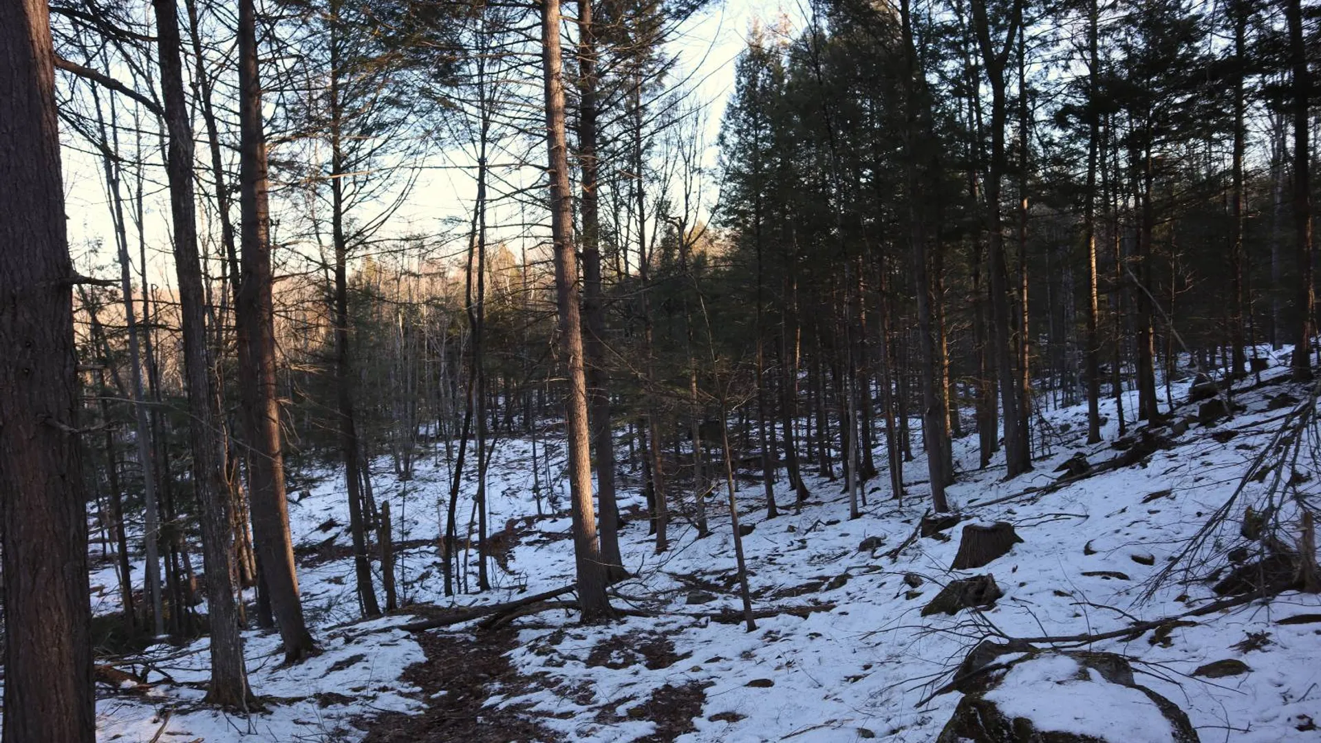 Property at 0 Parker Rd Rear, Hadley, NY 12822 51