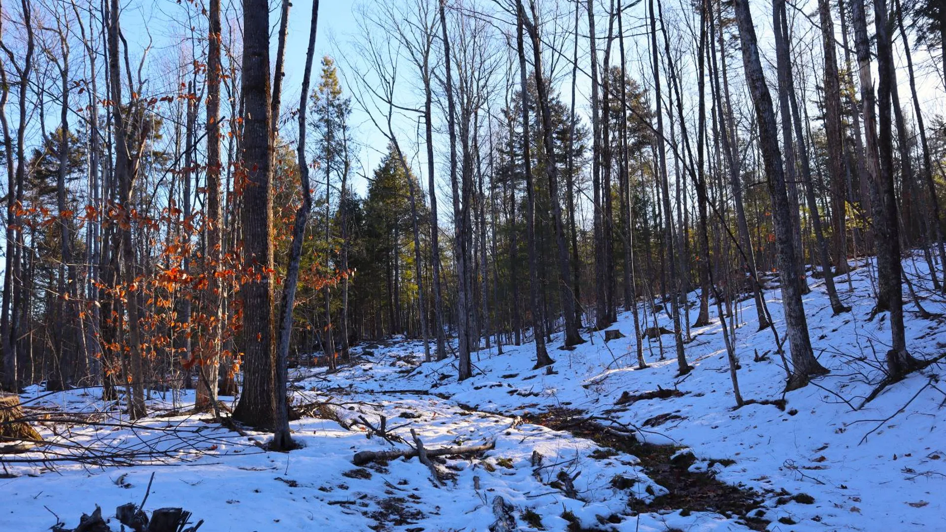 Property at 0 Parker Rd Rear, Hadley, NY 12822 52