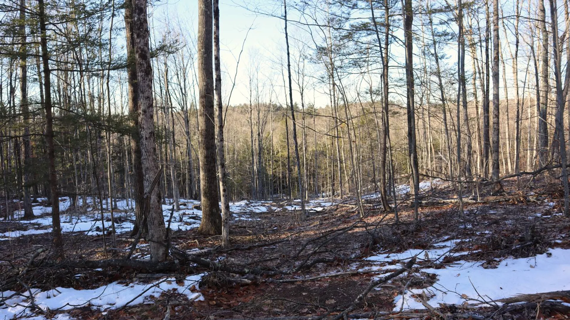 Property at 0 Parker Rd Rear, Hadley, NY 12822 53