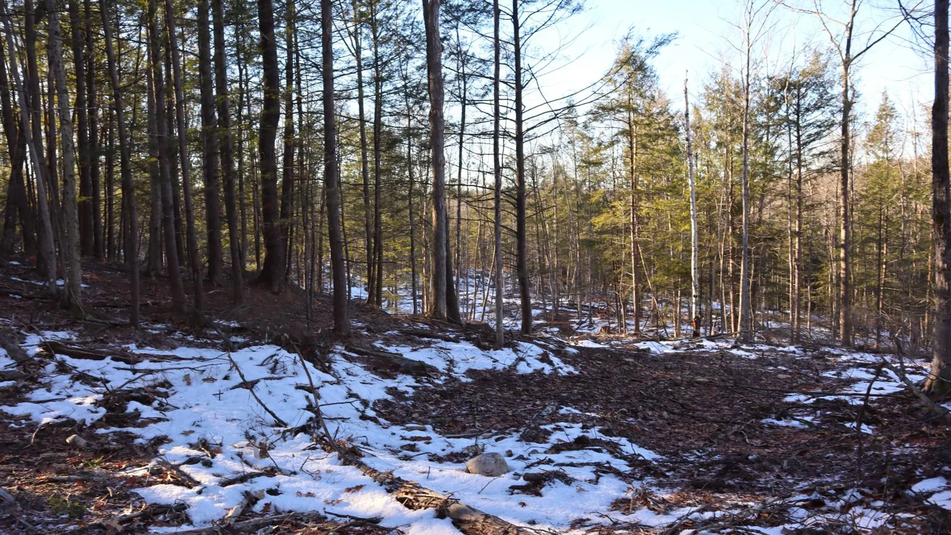 Property at 0 Parker Rd Rear, Hadley, NY 12822 54