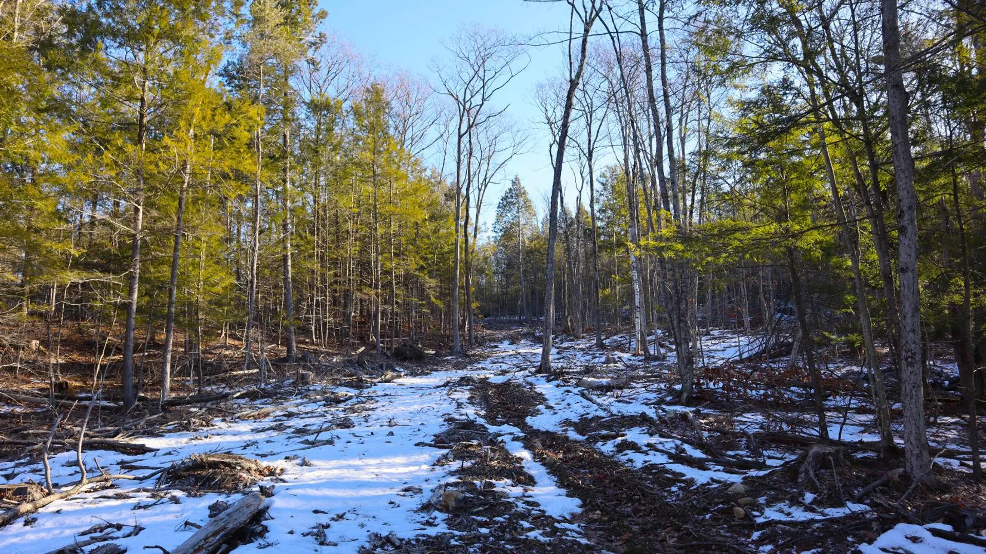 Property at 0 Parker Rd Rear, Hadley, NY 12822 55