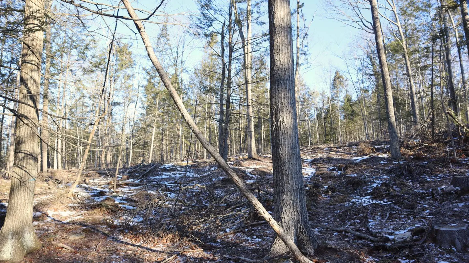 Property at 0 Parker Rd Rear, Hadley, NY 12822 56