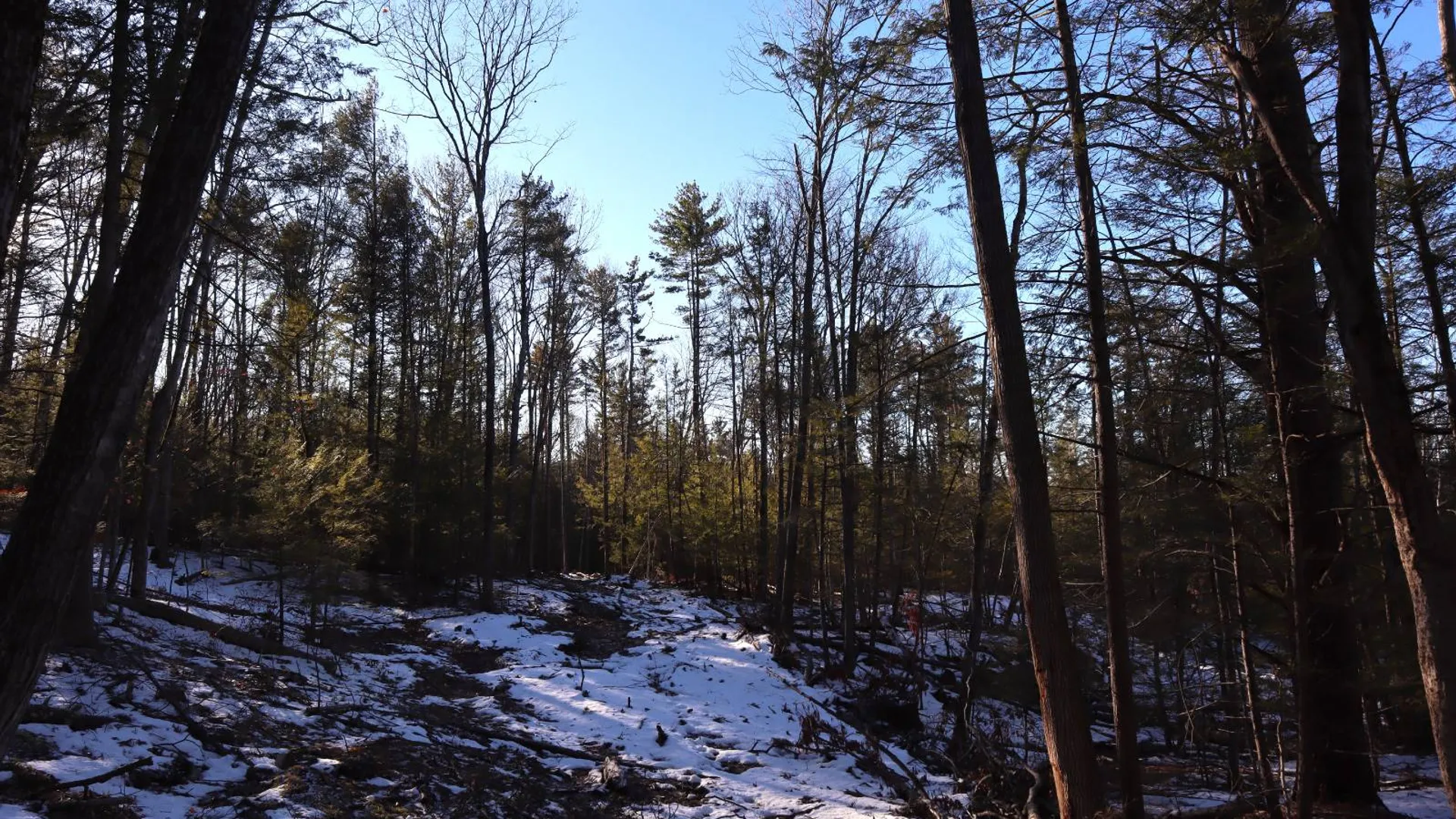 Property at 0 Parker Rd Rear, Hadley, NY 12822 57