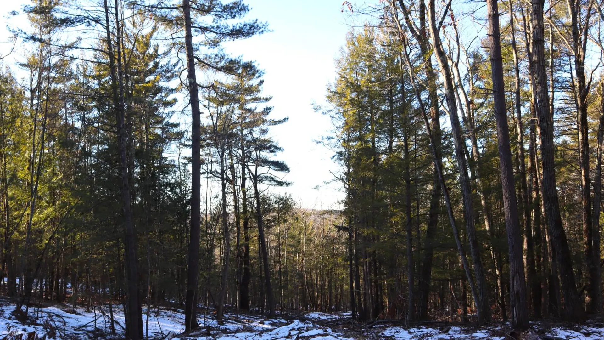 Property at 0 Parker Rd Rear, Hadley, NY 12822 58