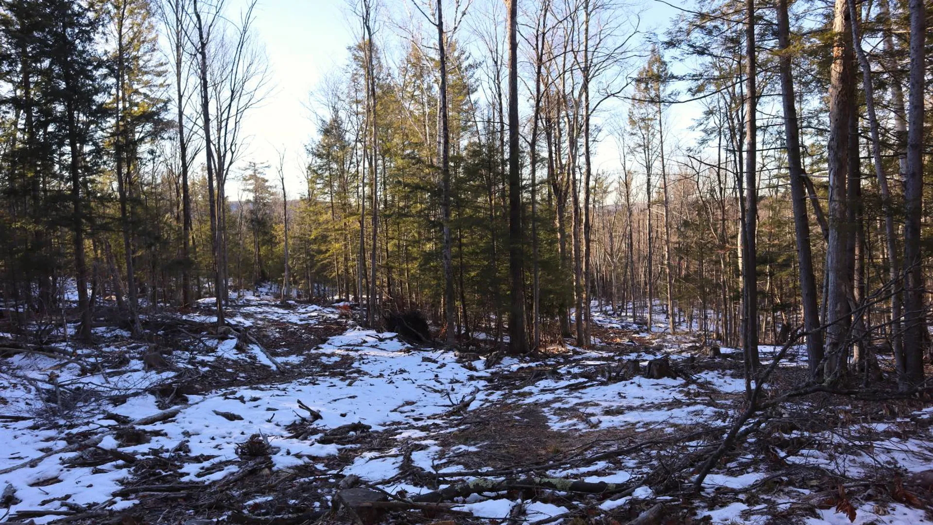 Property at 0 Parker Rd Rear, Hadley, NY 12822 59