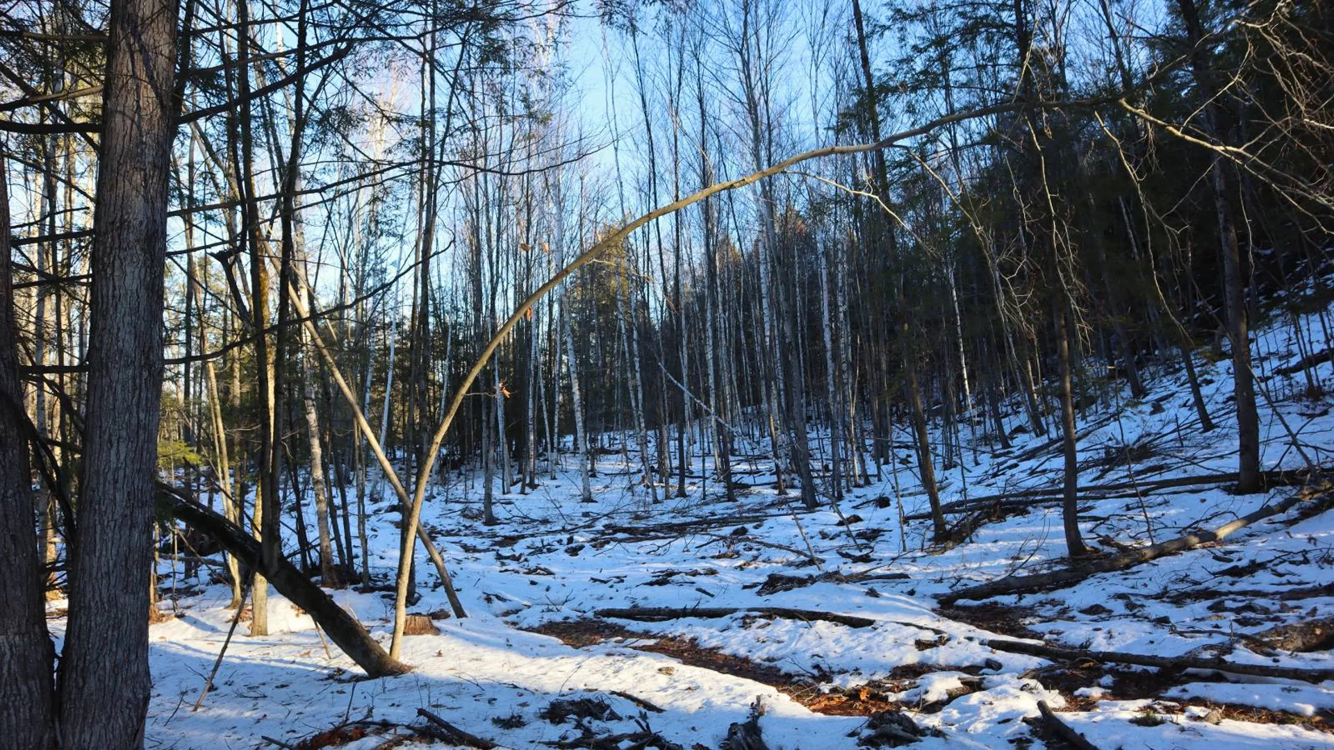 Property at 0 Parker Rd Rear, Hadley, NY 12822 60