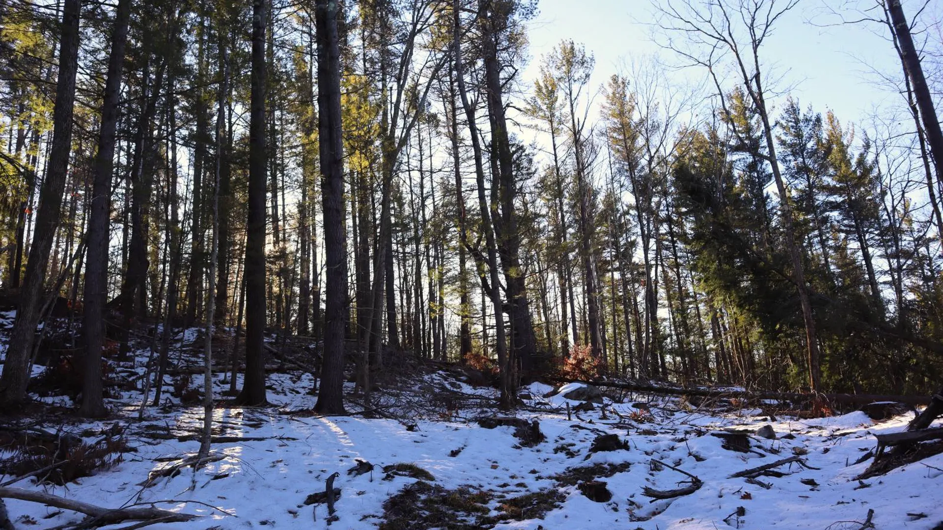 Property at 0 Parker Rd Rear, Hadley, NY 12822 61