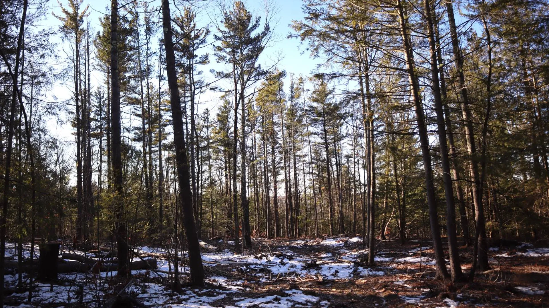 Property at 0 Parker Rd Rear, Hadley, NY 12822 62