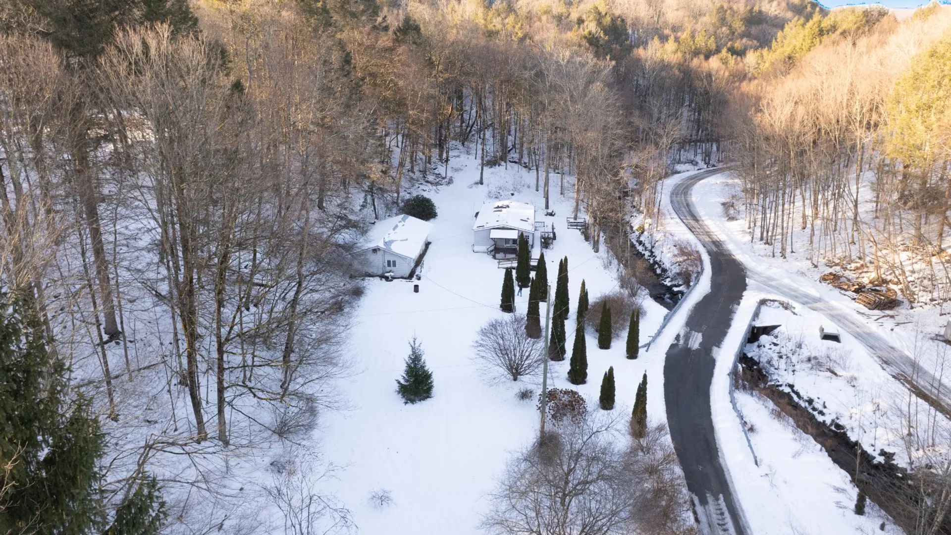 Property at 93 Morrison Brook Rd, East Branch, NY 13756 7