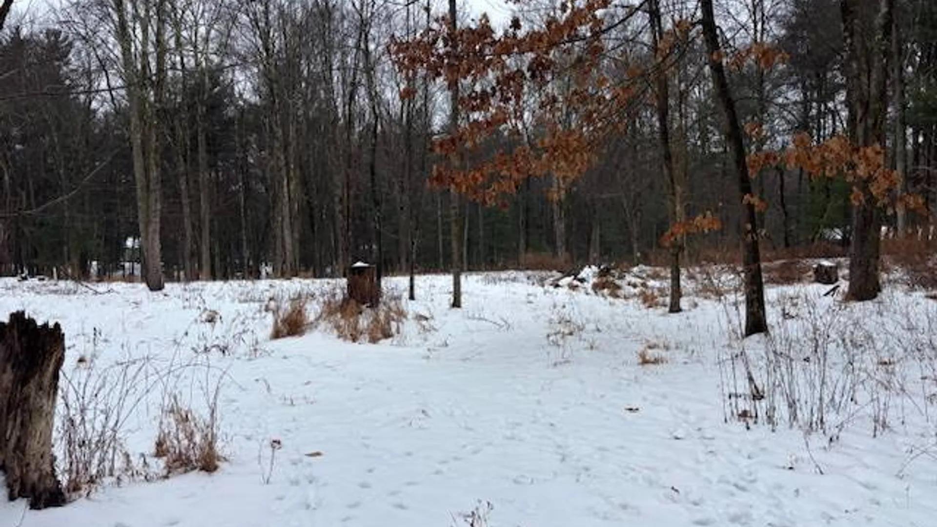 Property at 25 Five Roses E, Ancram, NY 12502 4