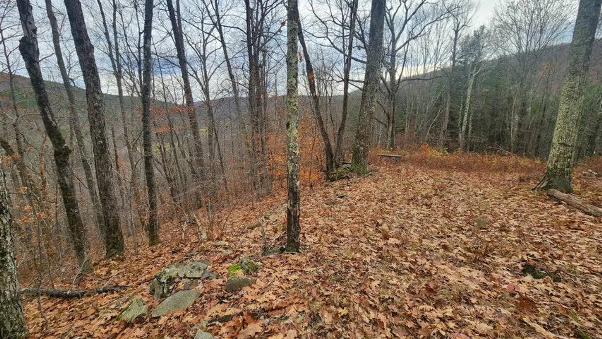 Property at L12 Rebel Rdg, Jefferson, NY 12093 10