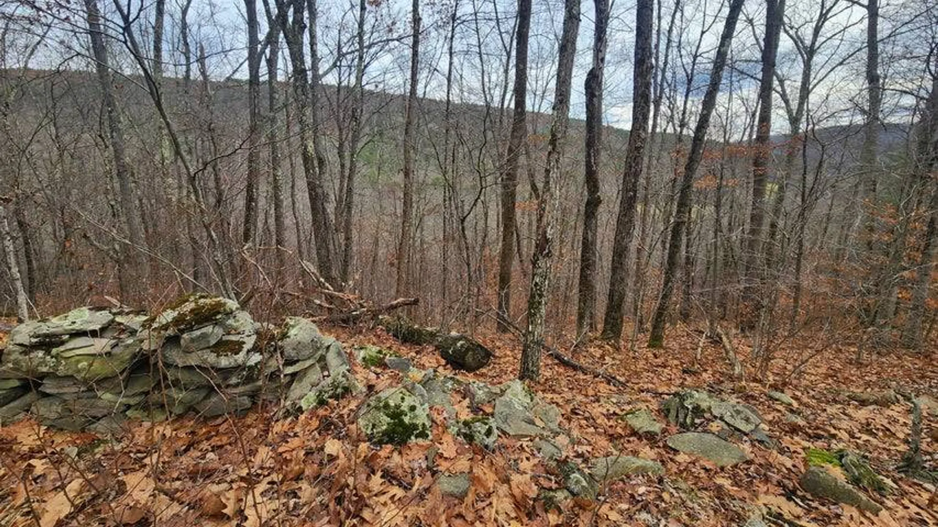 Property at L12 Rebel Rdg, Jefferson, NY 12093 11