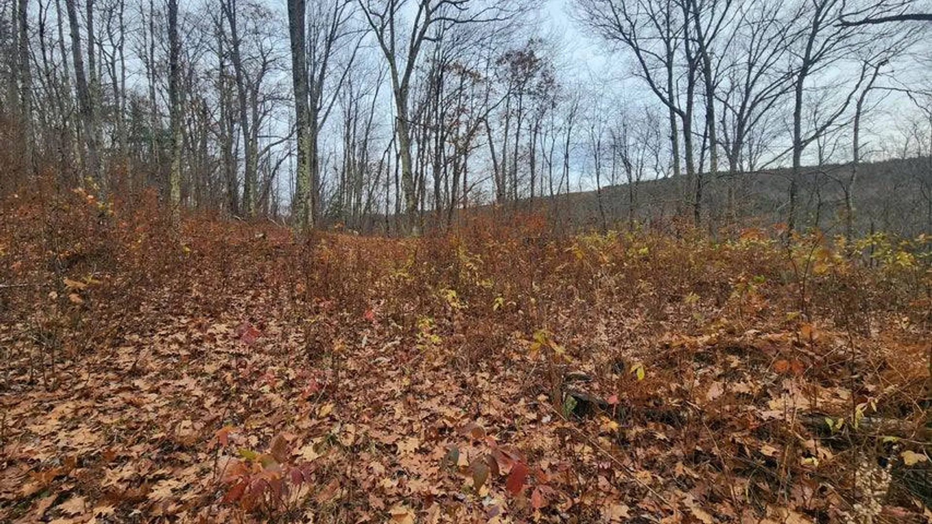 Property at L12 Rebel Rdg, Jefferson, NY 12093 12