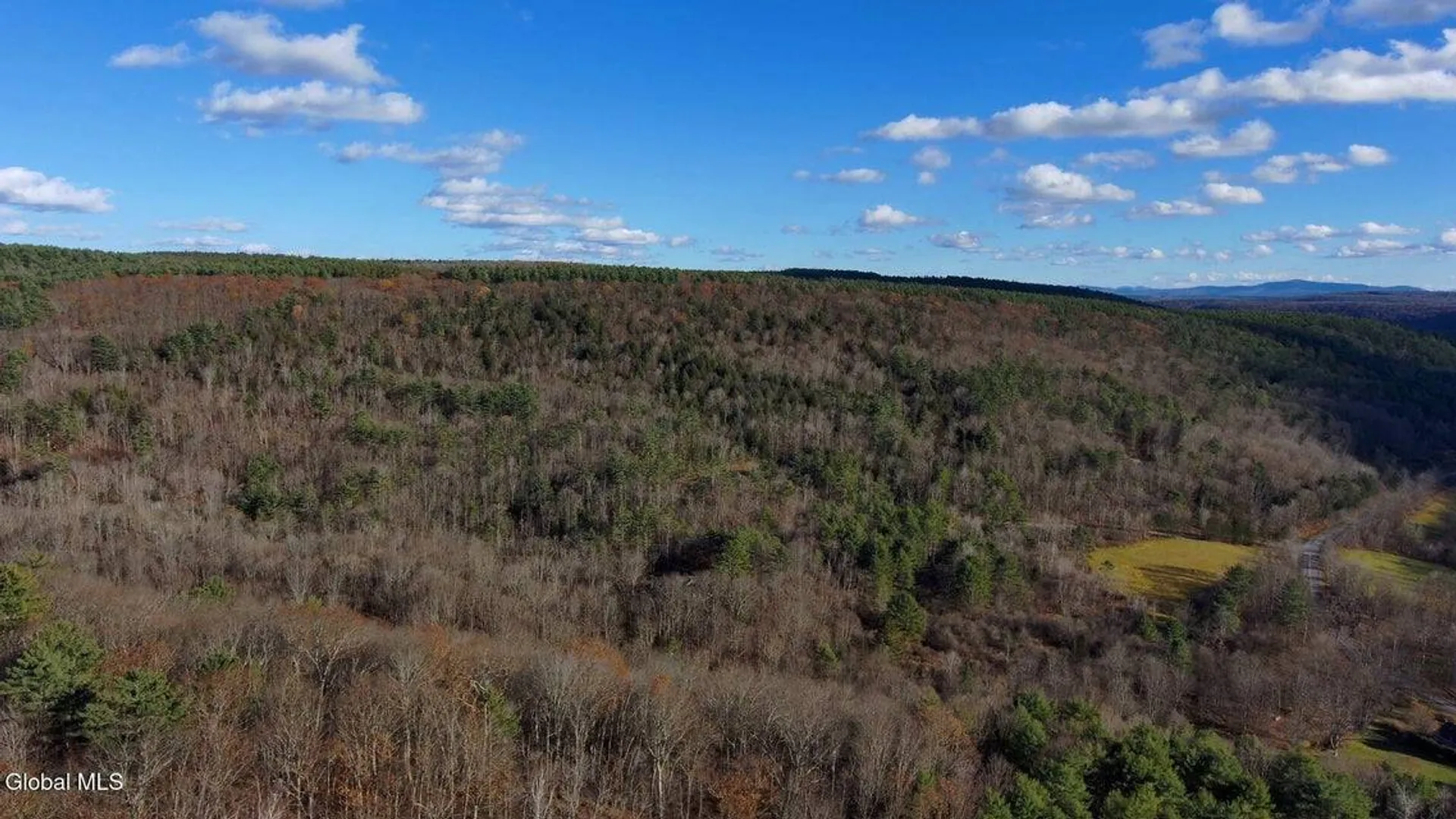 Property at L12 Rebel Rdg, Jefferson, NY 12093 13