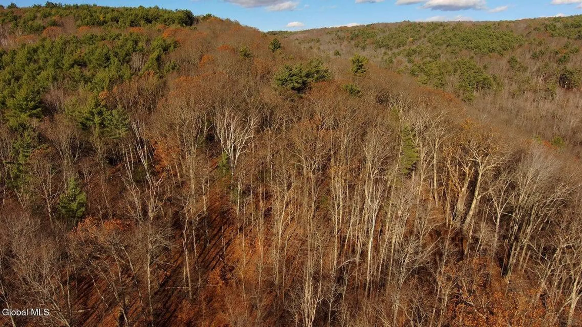 Property at L12 Rebel Rdg, Jefferson, NY 12093 14