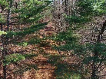 Property at L12 Rebel Rdg, Jefferson, NY 12093