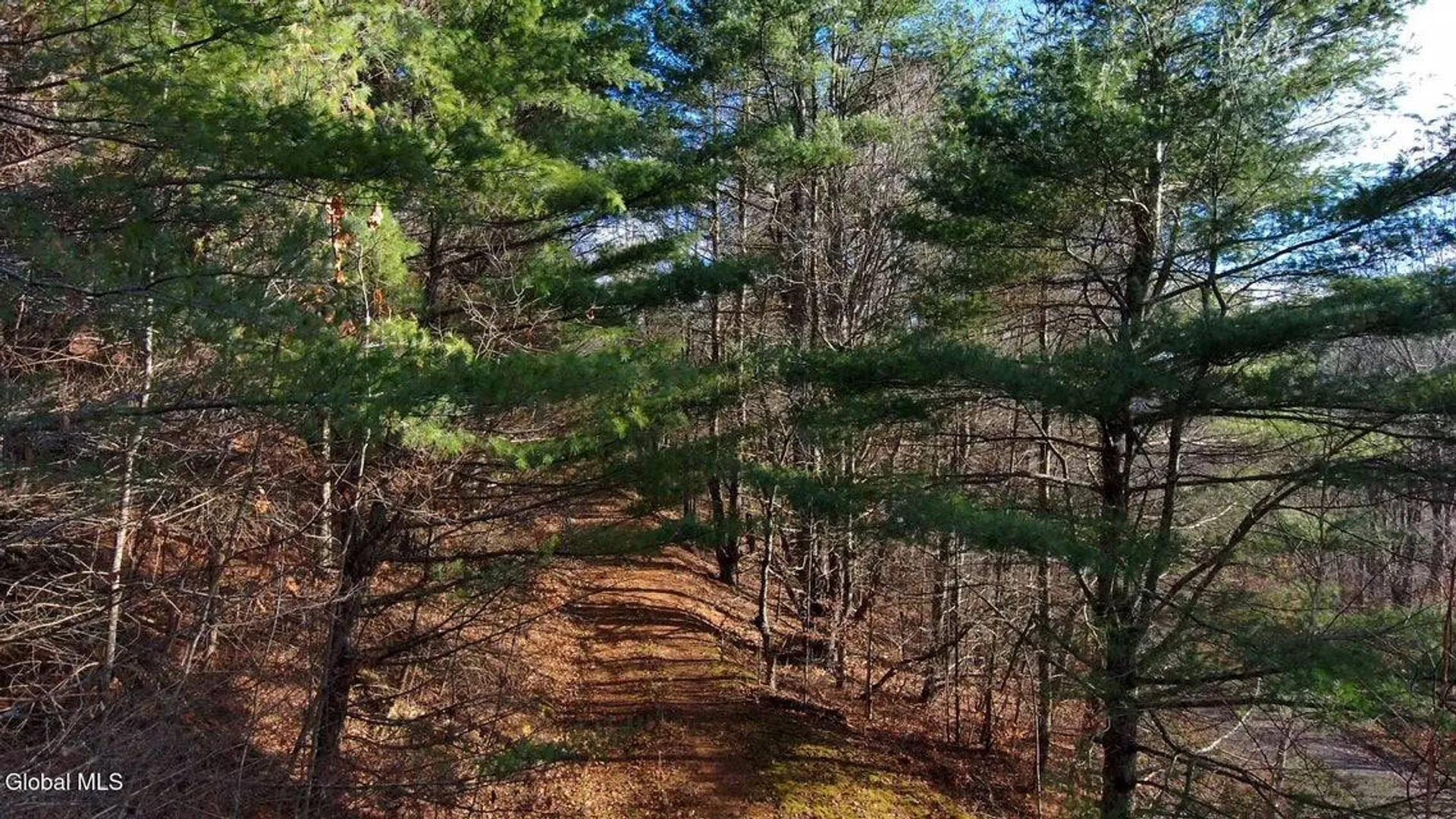 Property at L12 Rebel Rdg, Jefferson, NY 12093 2