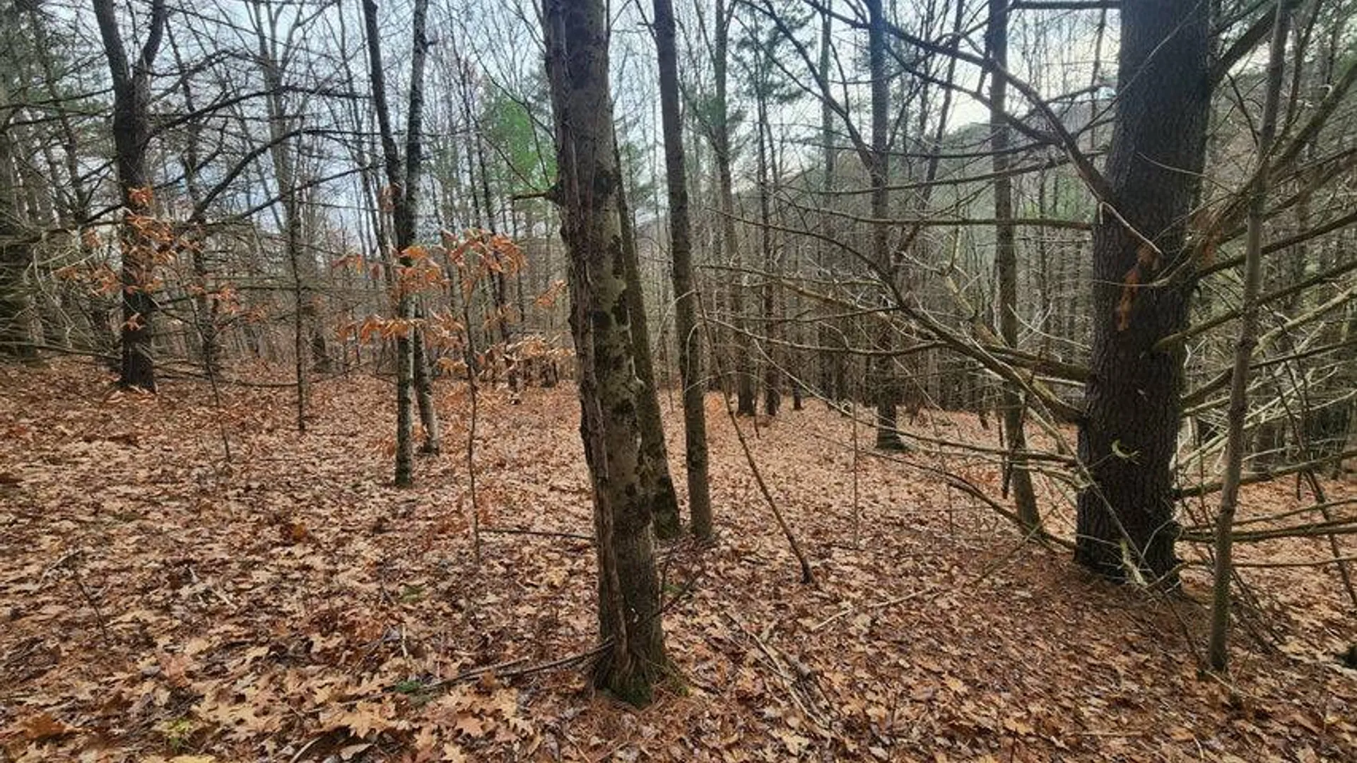 Property at L12 Rebel Rdg, Jefferson, NY 12093 3