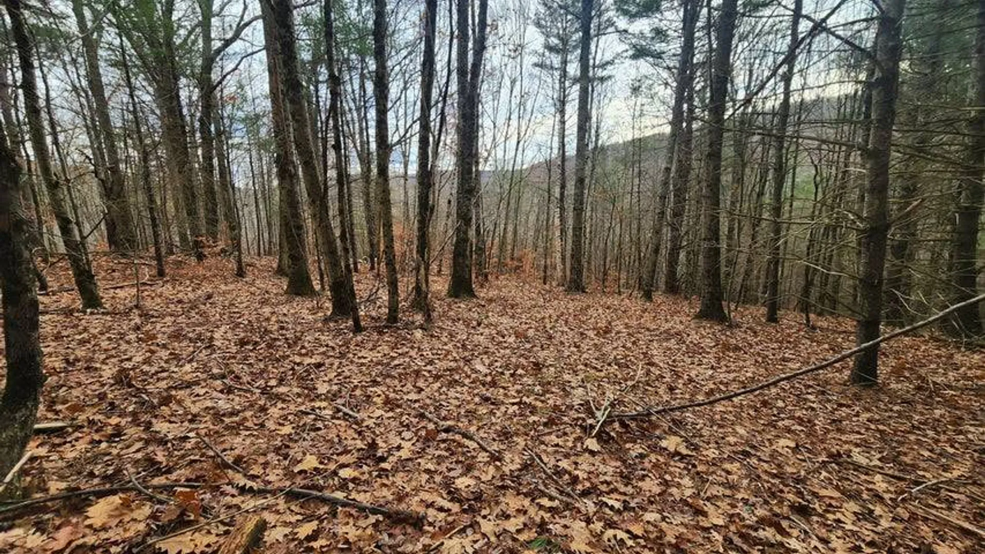 Property at L12 Rebel Rdg, Jefferson, NY 12093 4