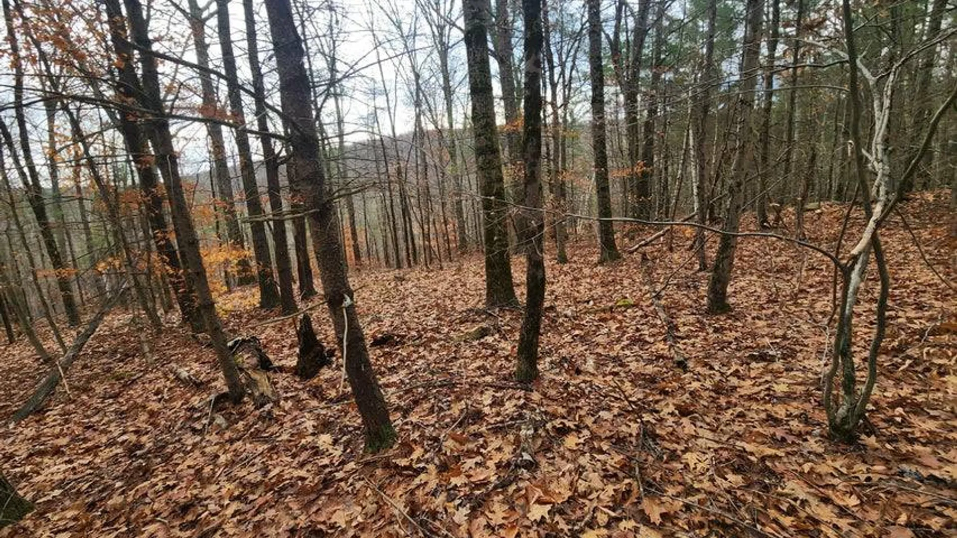 Property at L12 Rebel Rdg, Jefferson, NY 12093 5