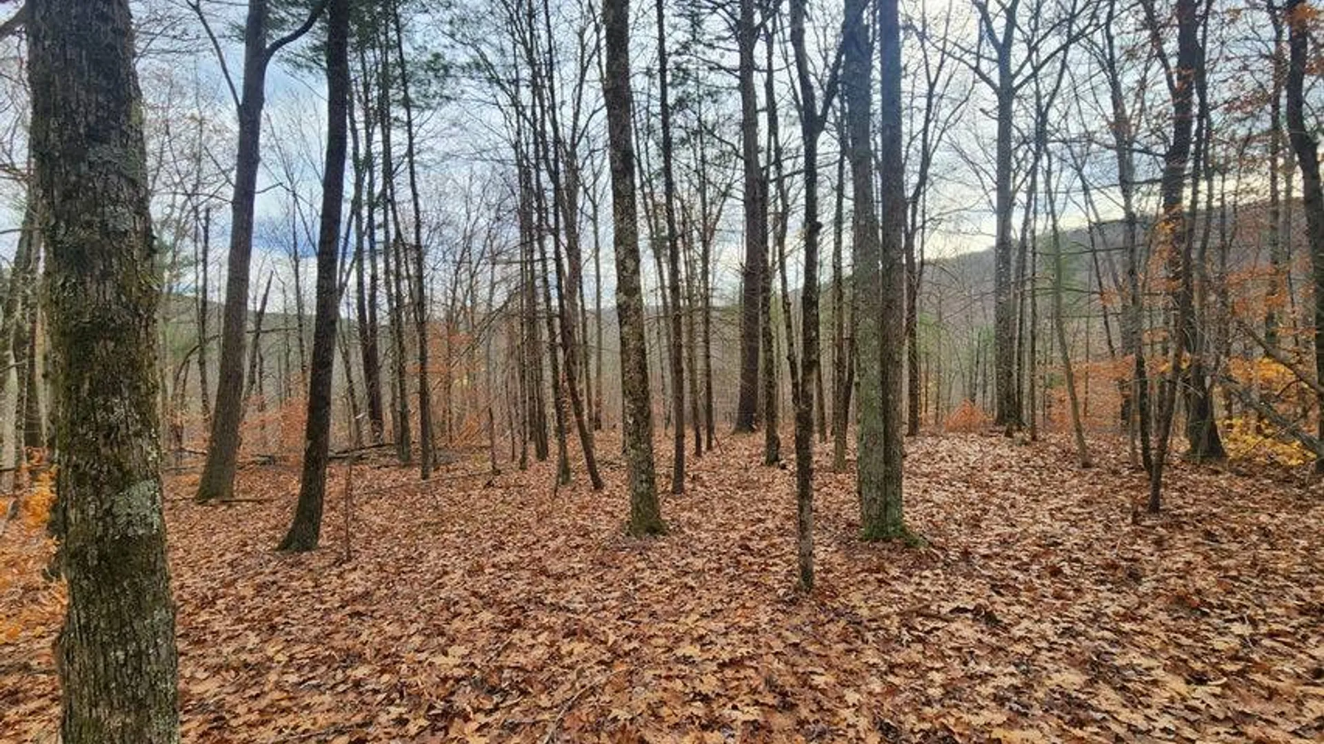 Property at L12 Rebel Rdg, Jefferson, NY 12093 6