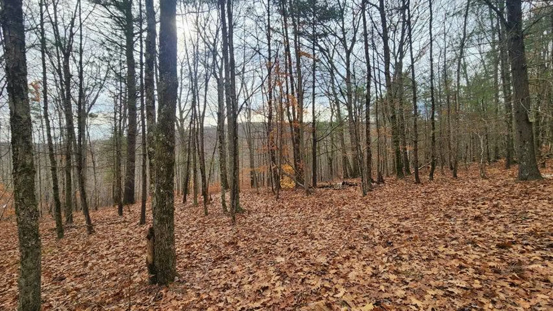 Property at L12 Rebel Rdg, Jefferson, NY 12093 7