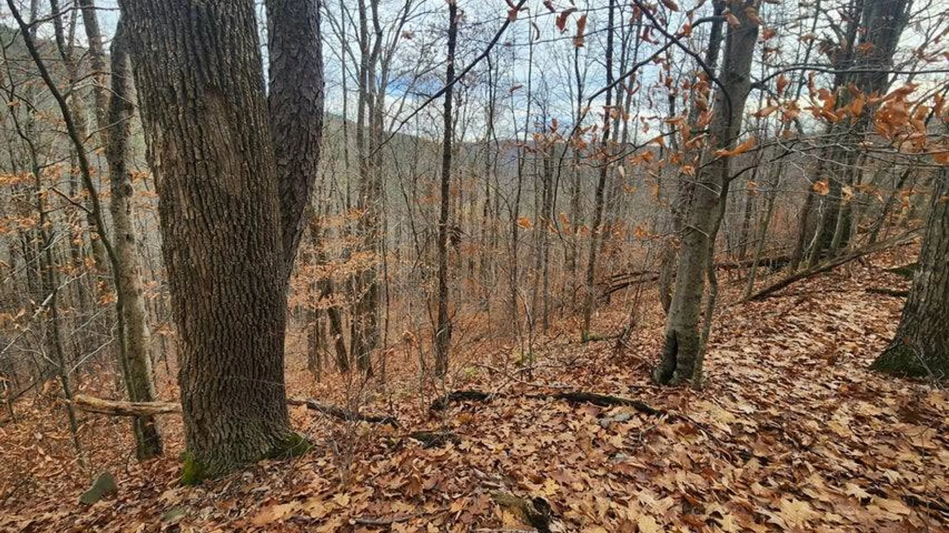 Property at L12 Rebel Rdg, Jefferson, NY 12093 8