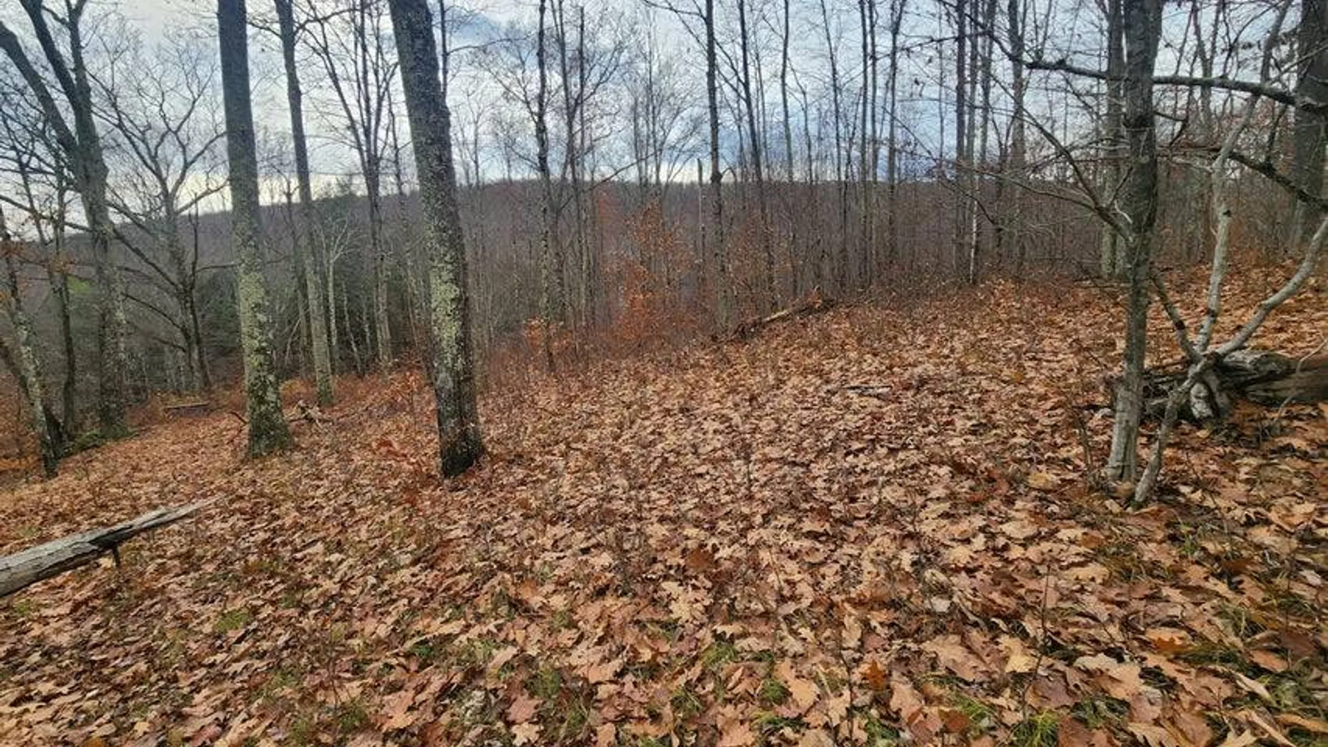 Property at L12 Rebel Rdg, Jefferson, NY 12093 9