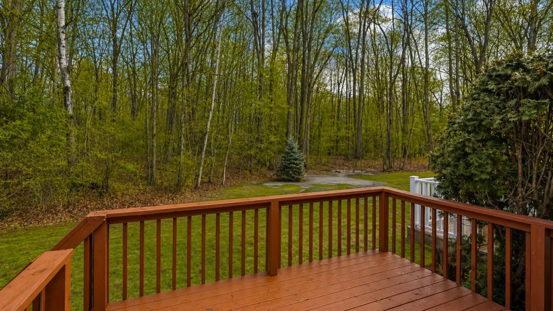 Property at 145 Killarney Dr, Schenectady, NY 12309 46