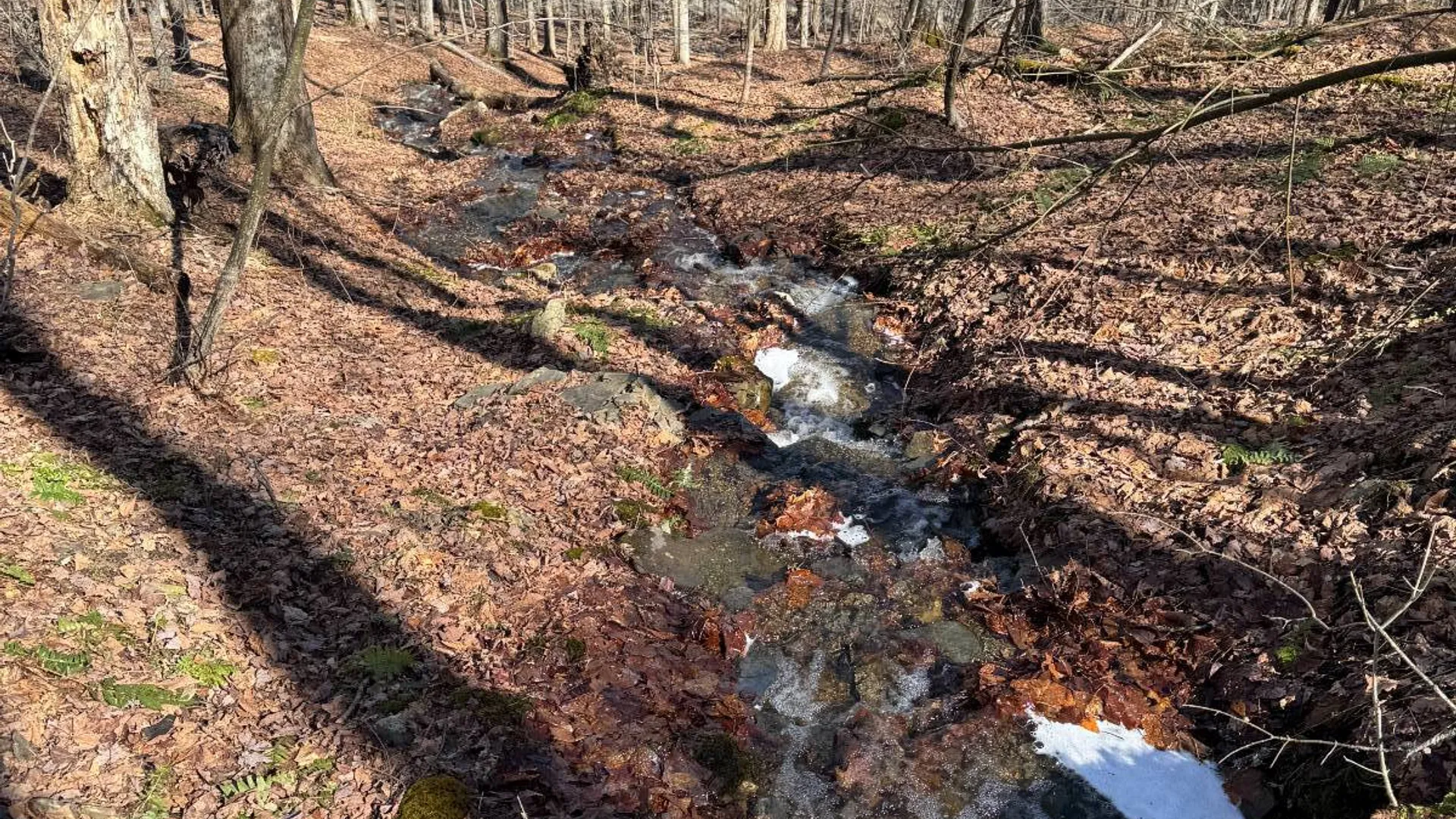 Property at 351 Center Road, Schenevus, NY 12155 14