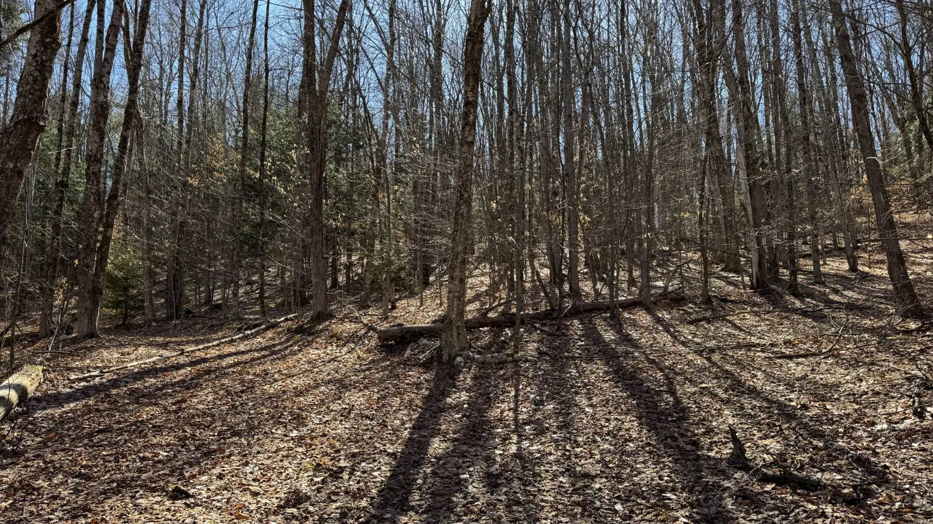 Property at 351 Center Road, Schenevus, NY 12155 15